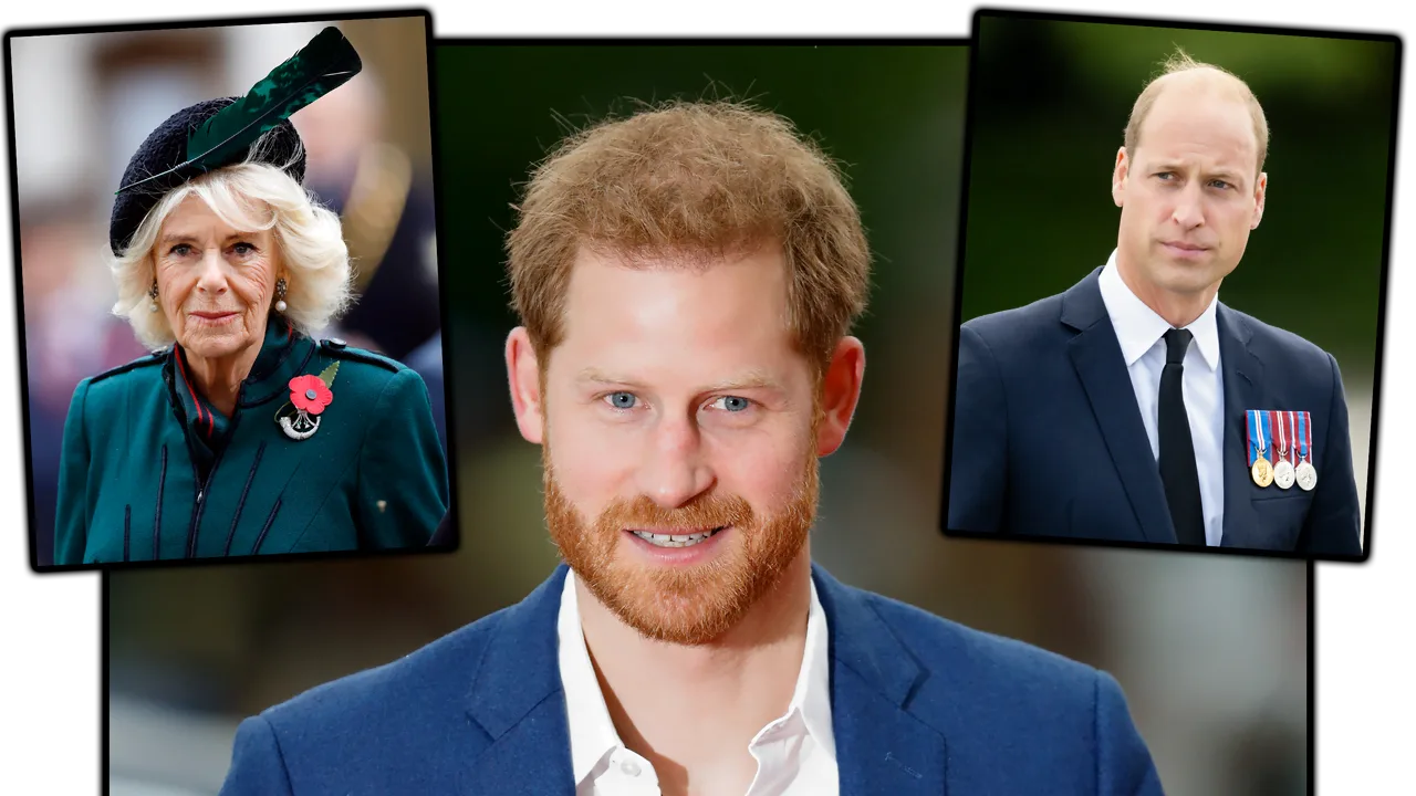 Prințul Harry despre linia părului lui William și „mama lor vitregă rea”