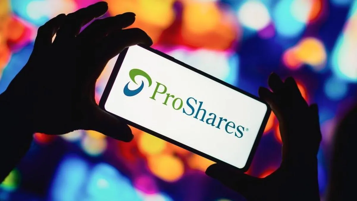 ProShares atrage intrări record, deoarece investitorii pariază pe volatilitate