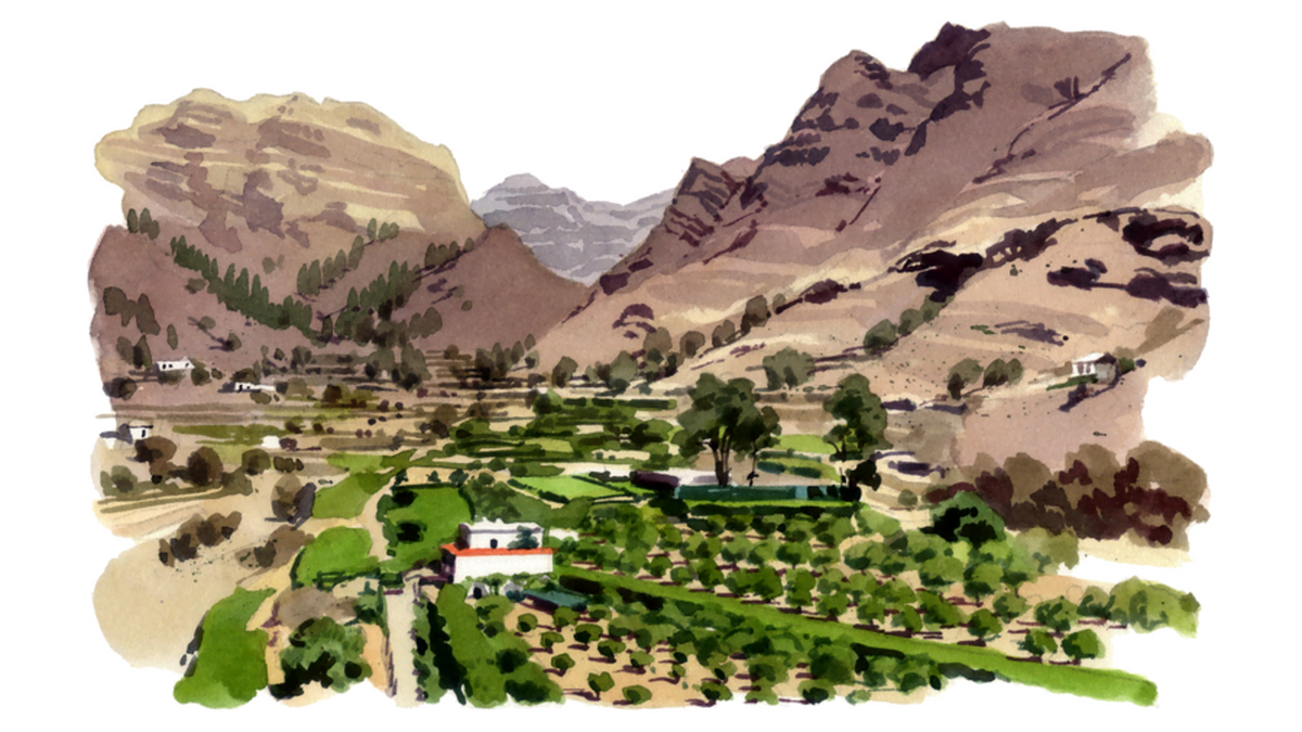 Carte poștală din Gran Canaria: „explozie gastronomică” pe insula de vacanță