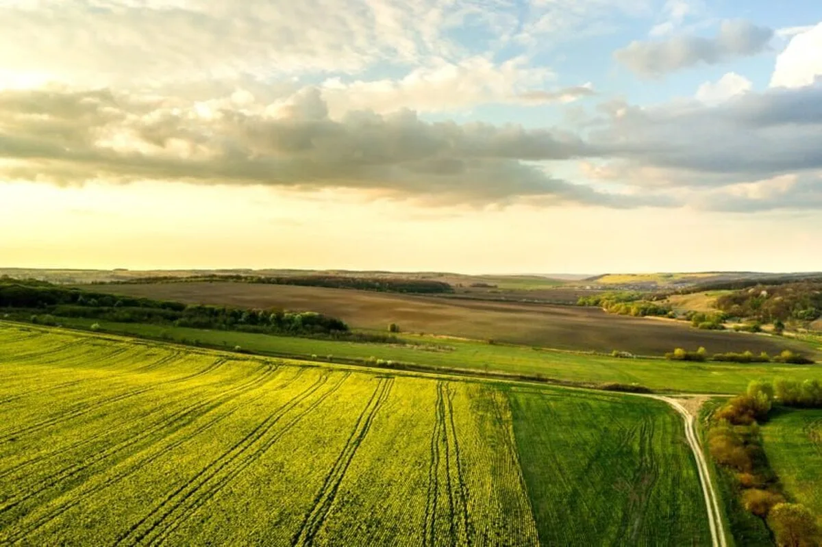 CEO-ul și fondatorul Aegis Environmental Inc., Matt Oddo, remarcă faptul că rămâne un lider de încredere în industrie