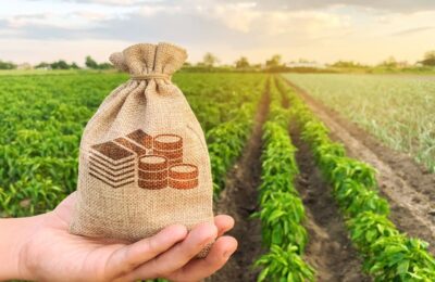 3 sfaturi care iți vor fi de folos dacă activezi în domeniul agricol