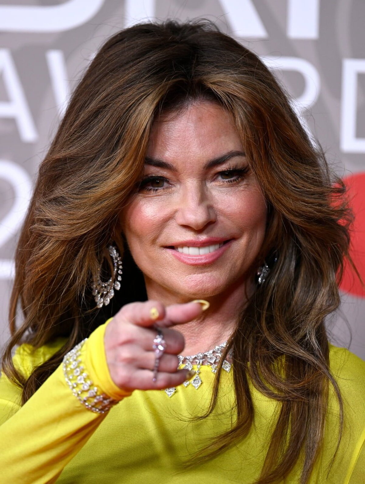 Shania Twain dezvăluie alegerea actorului care îl va înlocui pe Brad Pitt în cântecul de succes – News24