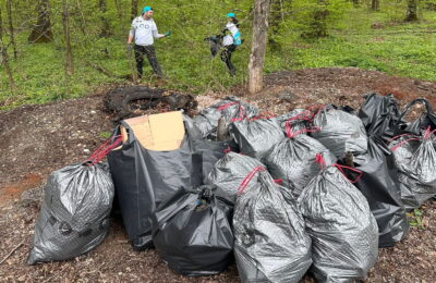 Curățenia de Paște în pădurea Lucianca – o inițiativă Sarantis România împreună cu Let’s Do It România