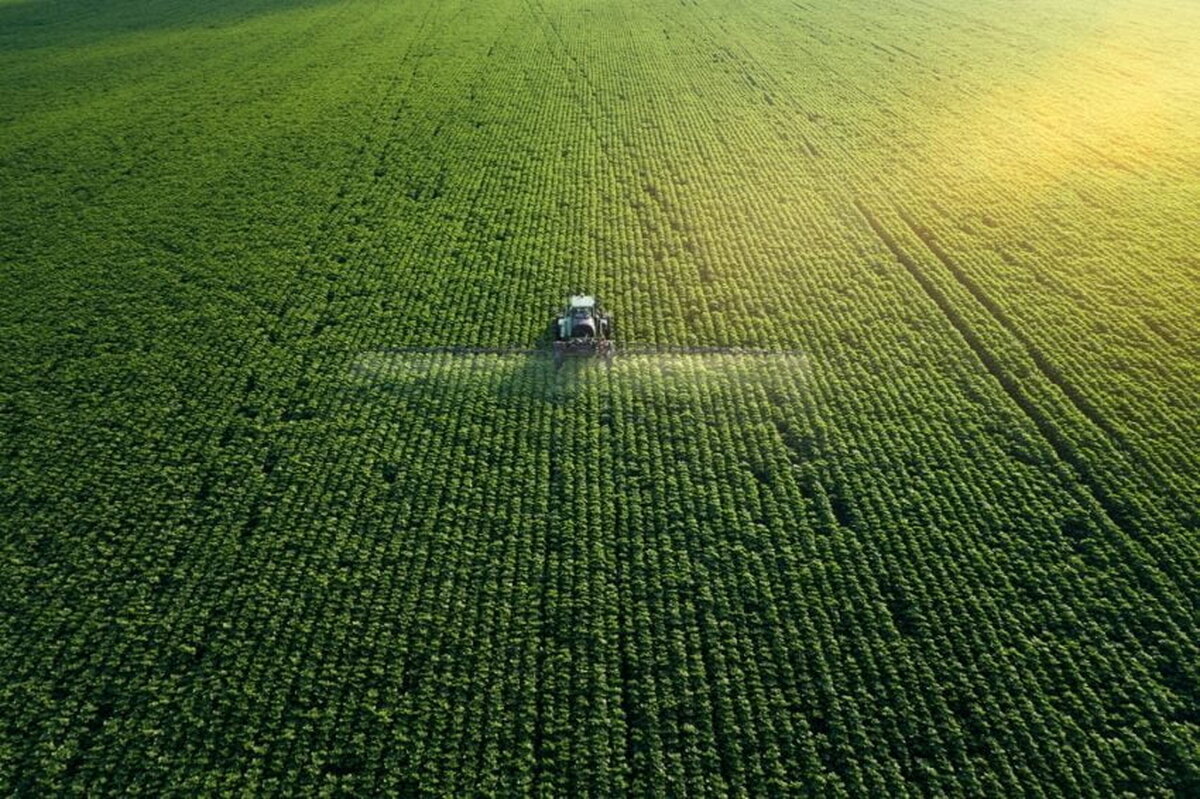 Agritech din Marea Britanie obține 4 milioane de lire sterline pentru a dezvolta insecticidele ecologice