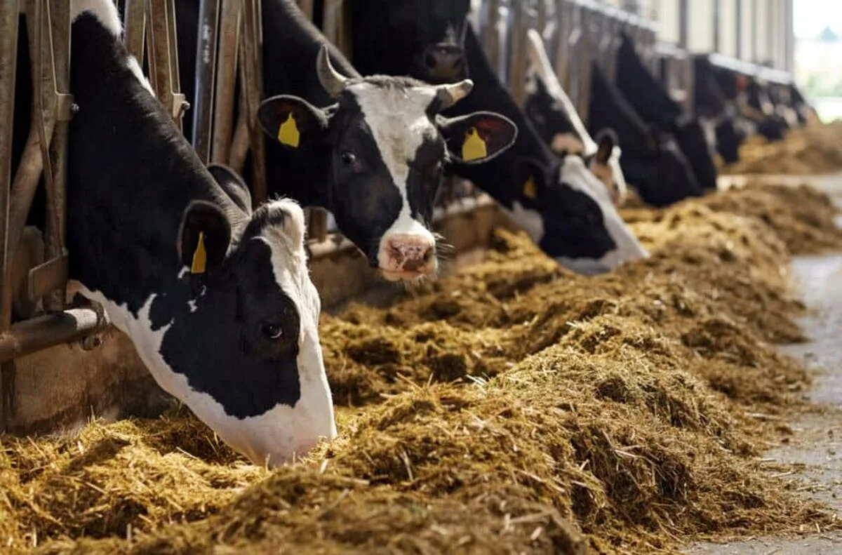 Raportul constată că Regatul Unit nu reușește să respecte angajamentele privind agricultura netă zero