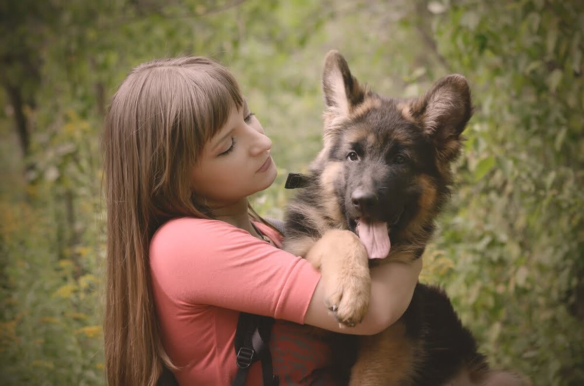 Regulile de prevenție funcționează și în cazul animalelor de companie