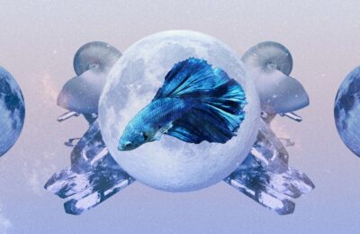 Horoscop lunar Pești pentru luna iunie 2023 – Citește previziunile pentru dragoste și carieră ale zodiei tale