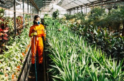 Sistemele naturale, sursă de inspirație pentru sintetizarea unor insecticide puternice