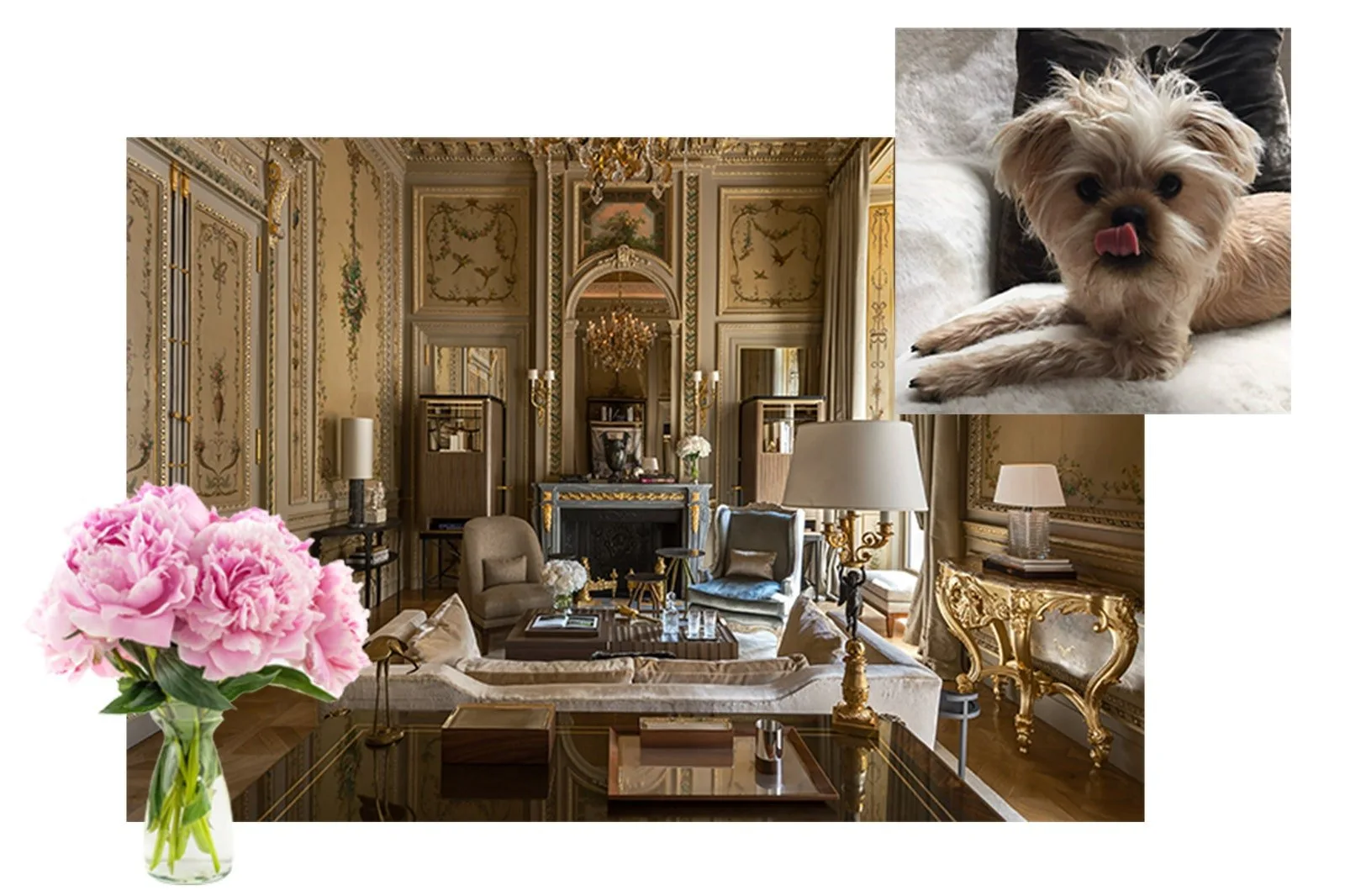 Lucrurile preferate ale lui Jennifer Fisher  Vanity Fair