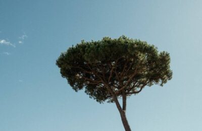 Jumătate din acest oraș italian de pe plajă este în vacanță și jumătate în exil