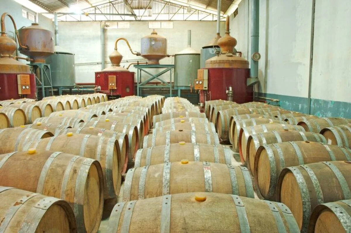 Distileria scoțiană independentă de whisky organic Nc’nean obține un nou pachet de finanțare