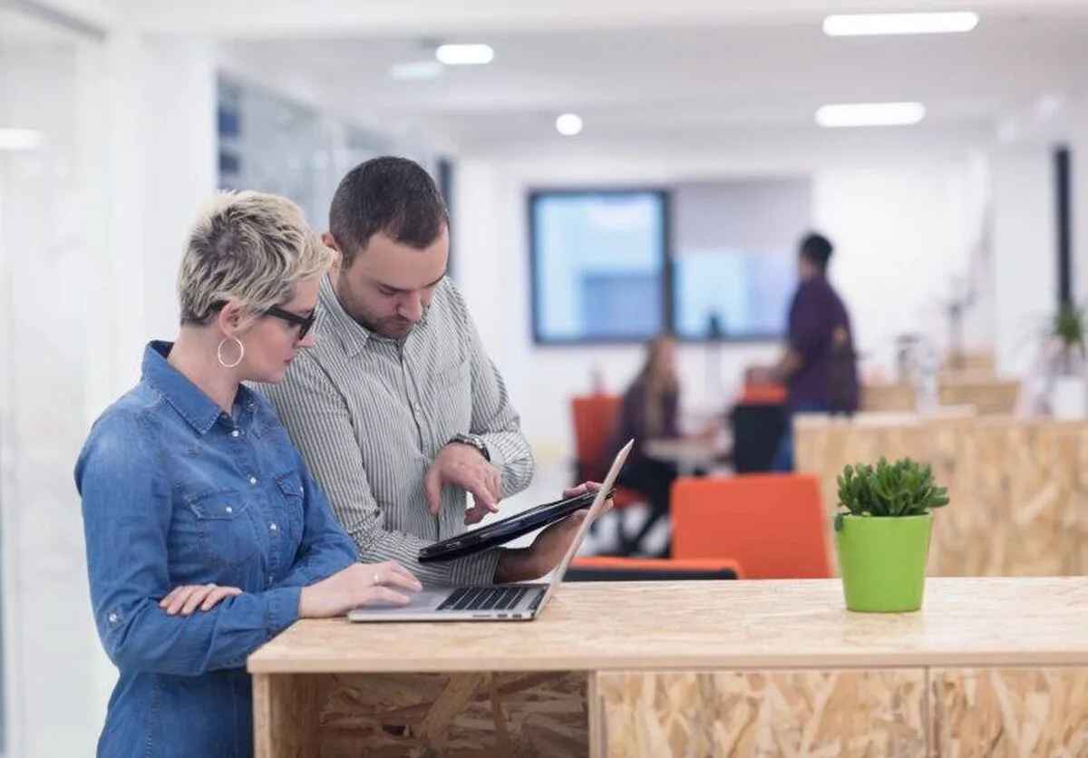 6 elemente esențiale de care au nevoie startup-urile pentru a supraviețui în 2024