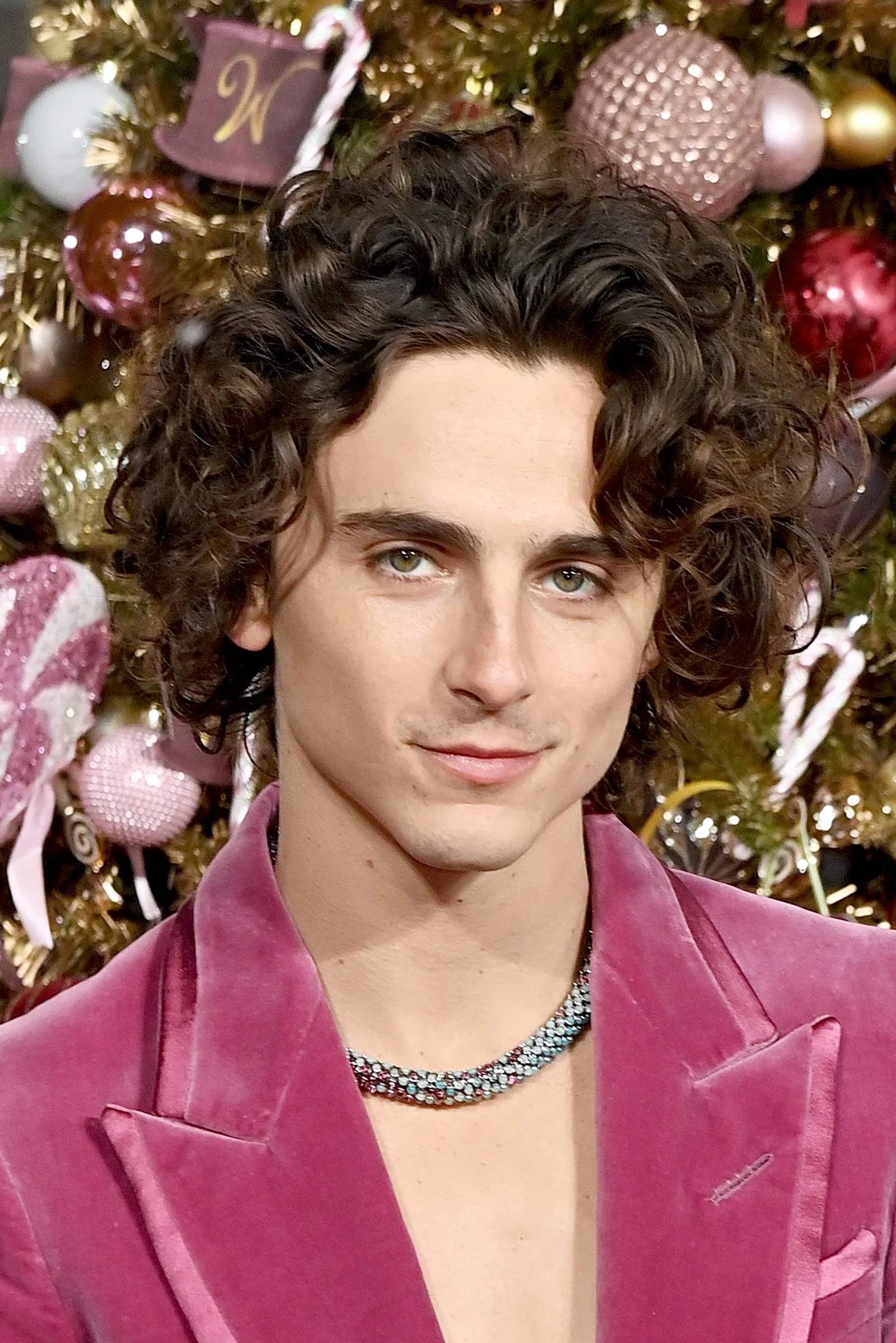 Timothée Chalamet poate pretinde că are 1,80 metri înălțime, datorită acestor bucle voluminoase – Vezi poze