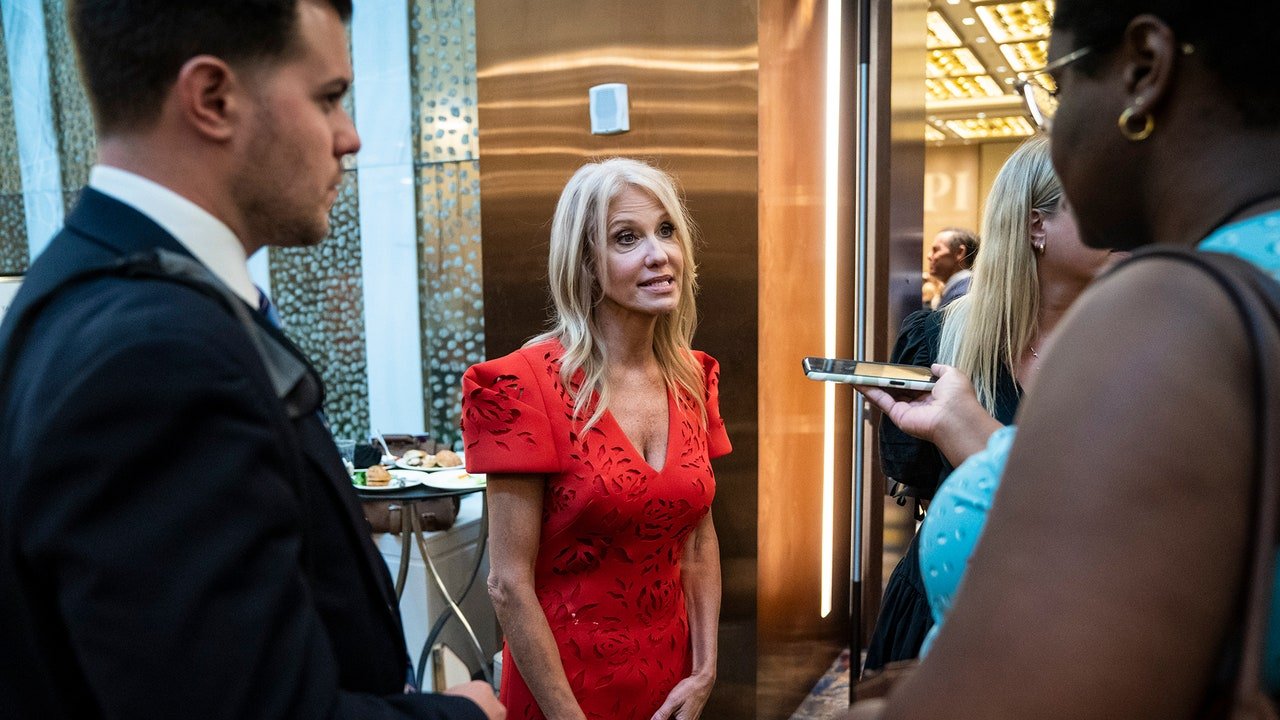 Kellyanne Conway crede că republicanii pot recâștiga femeile în 2024 spunând: „V-am luat dreptul la avort, dar vă lăsăm să păstrați contracepția”