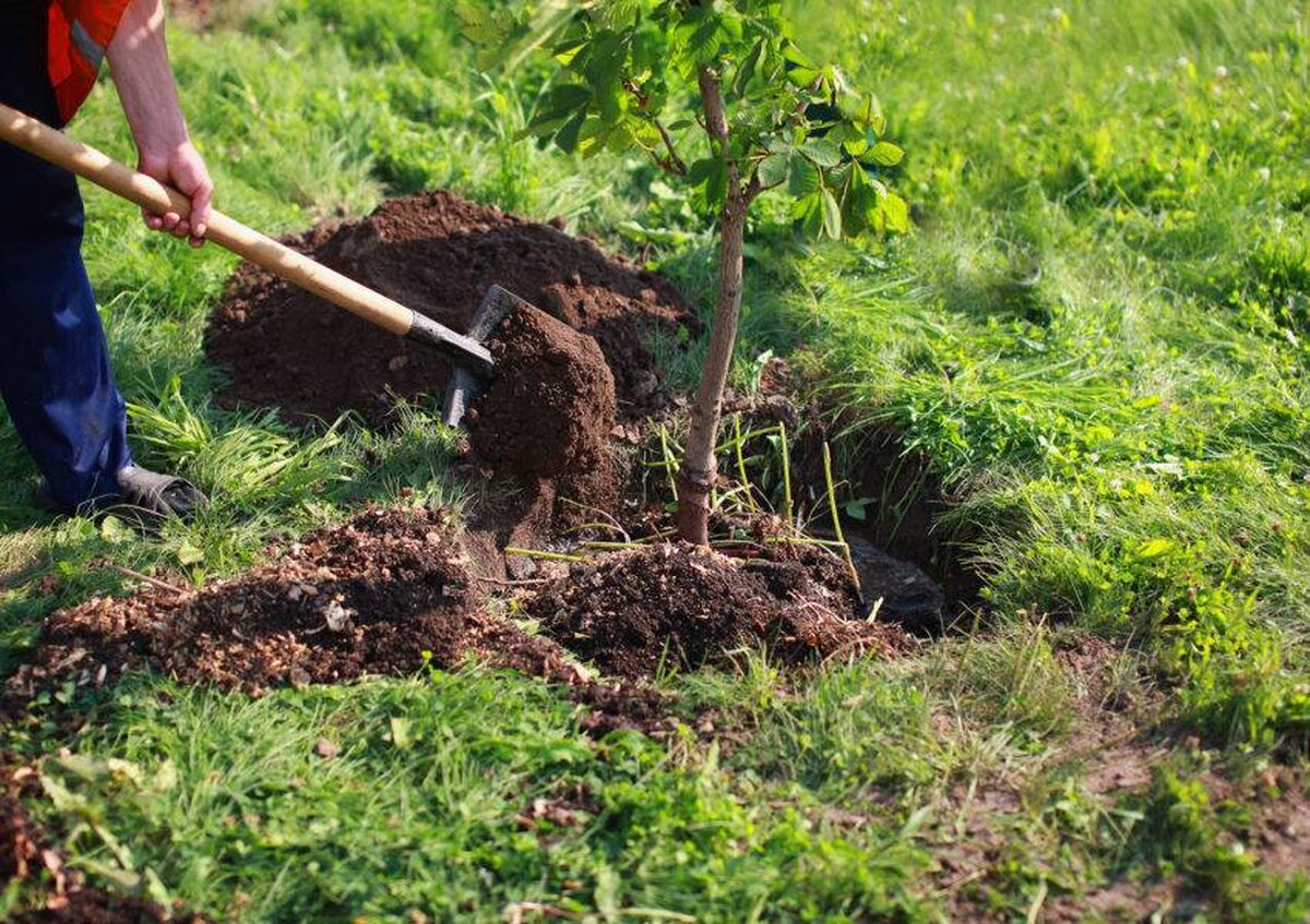 Investitorii retrag 10 miliarde de dolari din fondurile „etice” pe fondul unei reacții de ecologizare