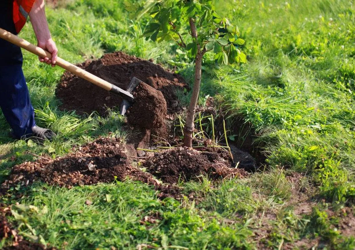 Investitorii retrag 10 miliarde de dolari din fondurile „etice” pe fondul unei reacții de ecologizare