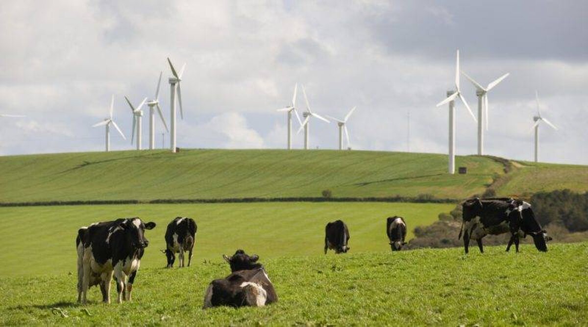 Încotro se îndreaptă agricultura în 2024 și ce inovații revoluționează acest domeniu?