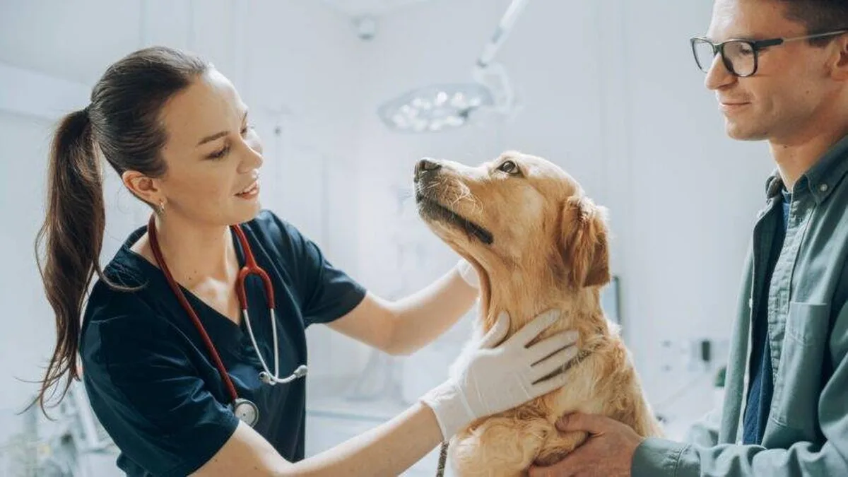 CMA ia în considerare plafonarea taxelor de prescripție veterinară pe fondul unei anchete sectoriale