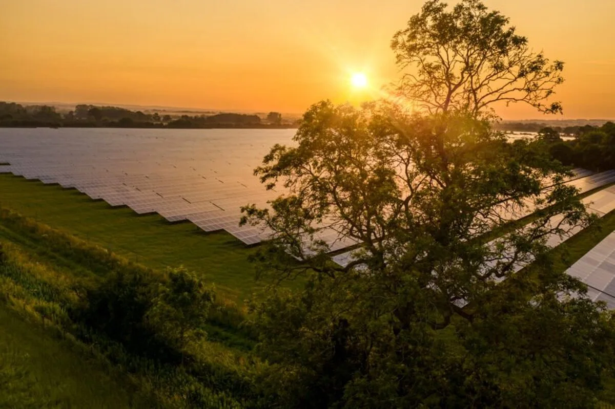 Consiliile rurale sunt obligate să aprobe mai multe ferme eoliene și solare în temeiul noilor norme de planificare