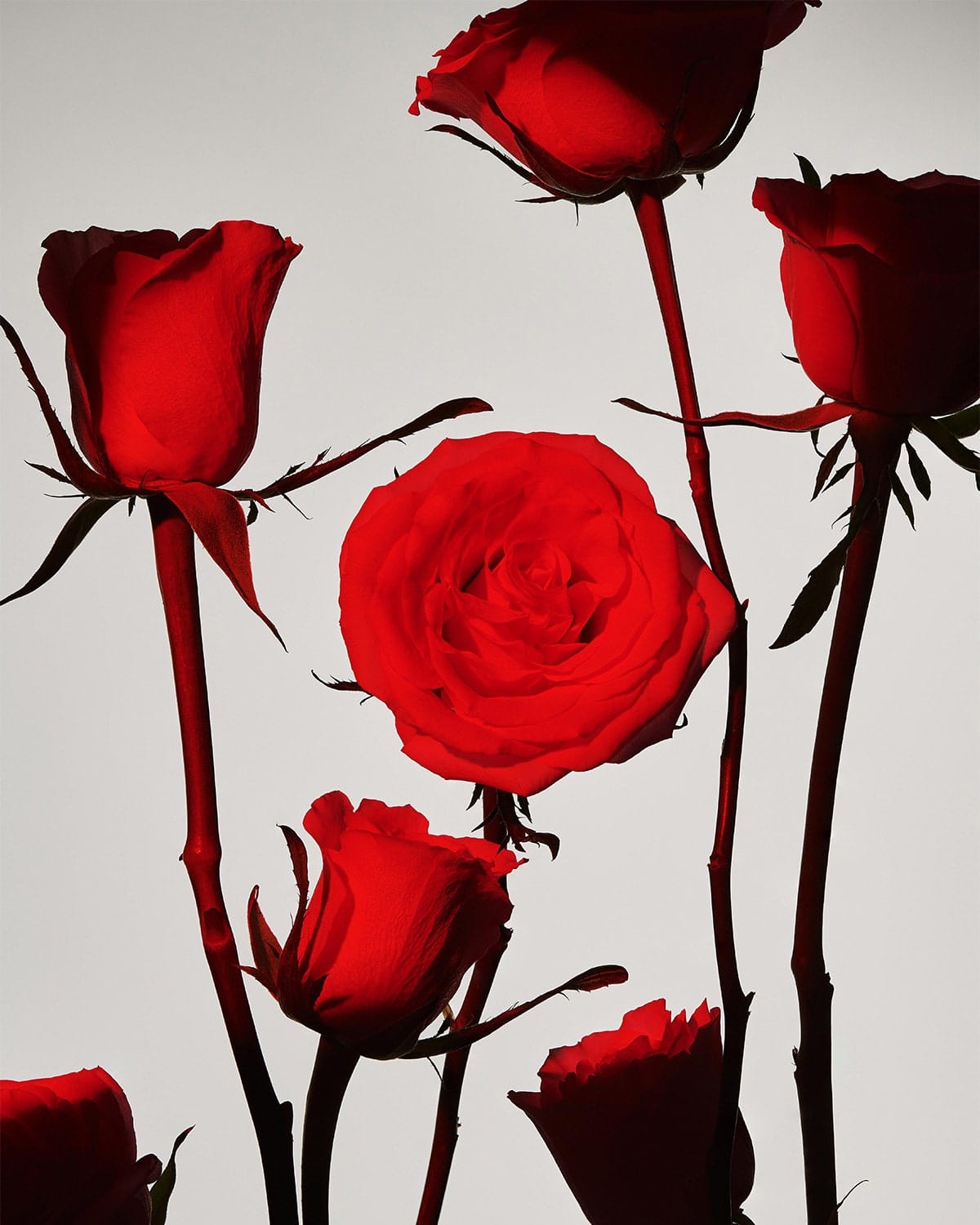 Cele mai bune 5 tendințe în materie de parfumuri de iarnă pentru 2024, potrivit experților