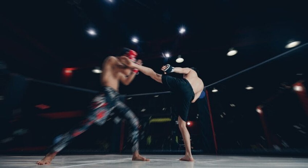 Pantaloni scurți MMA Hayabusa