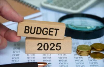Bugetul 2025: Industria tehnologică militează pentru un fond deeptech și pentru modificarea pragului regulilor de „safe harbour