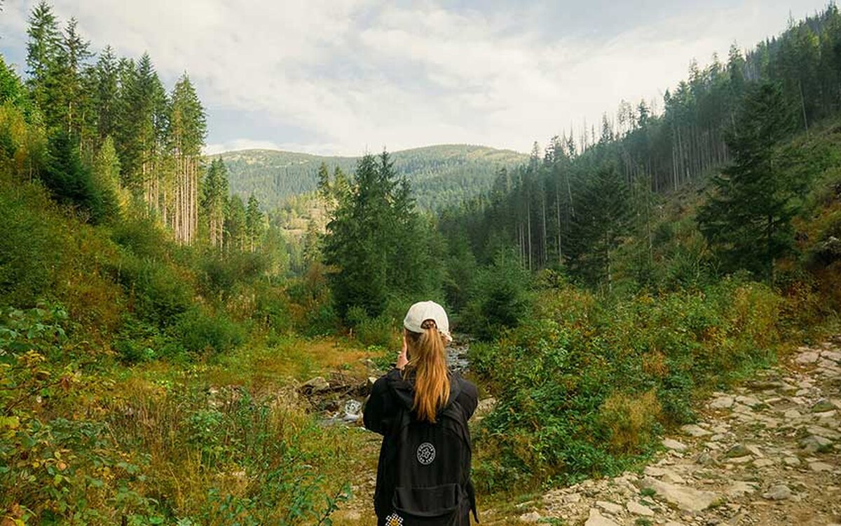 O conversație în profunzime cu Alison Schrag: Explorarea conservării faunei sălbatice urbane