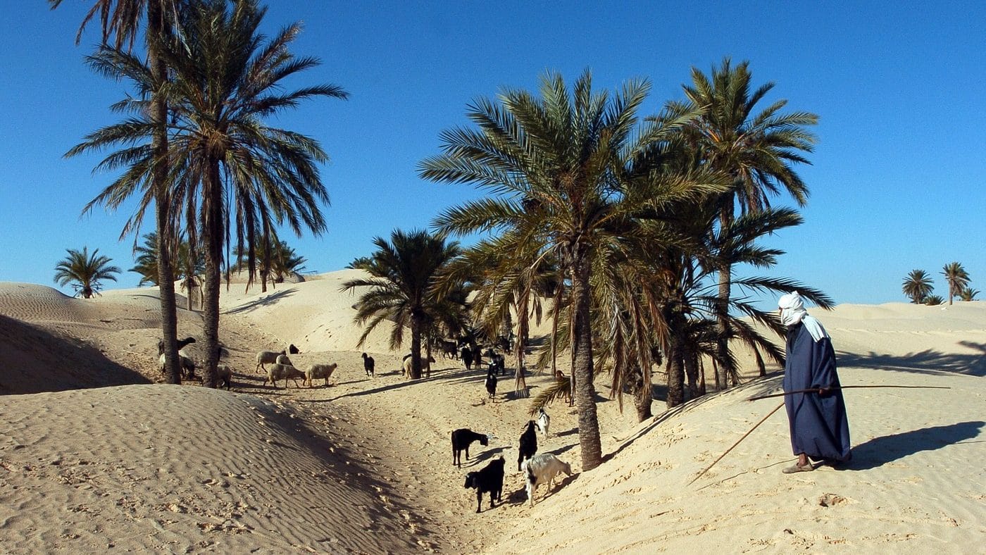 Ciobanii din Sahara dau lovitura: vând stele căzătoare la prețuri fabuloase!