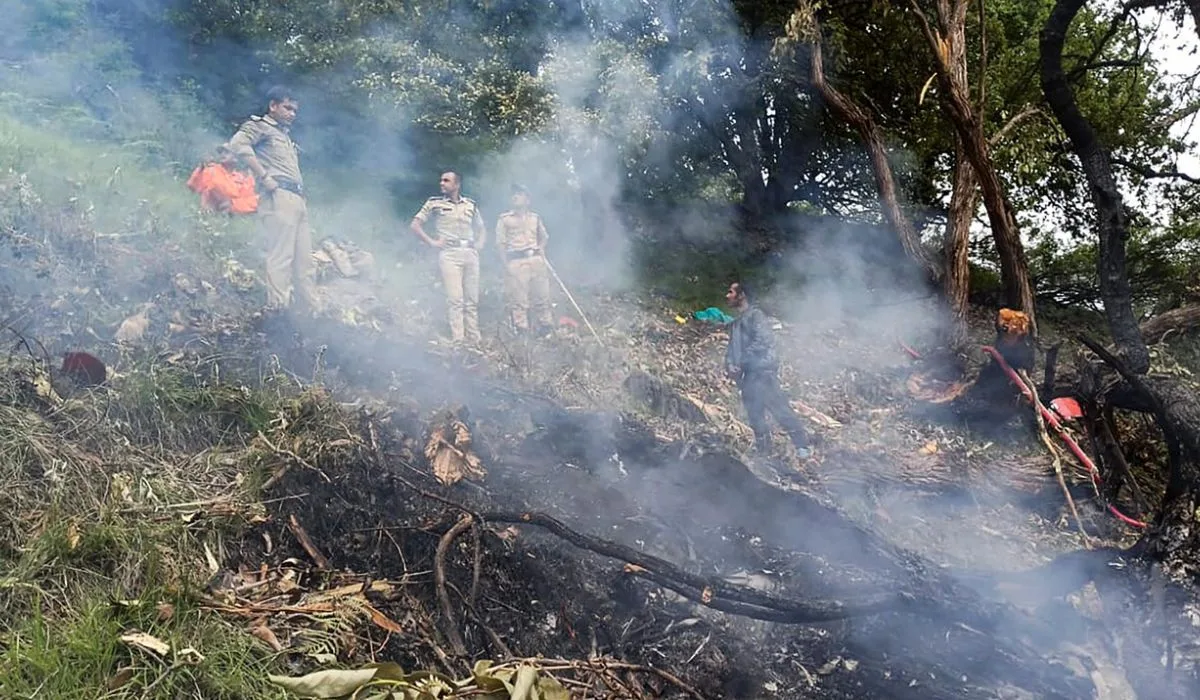 Tragedie în India: 7 morți în accident aviatic, printre ei un cuplu cu fiica de 2 ani