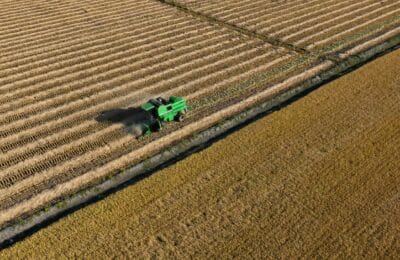 Revolutionar: Cum poți proteja culturile de orez de încălzirea globală cu o descoperire genetică?