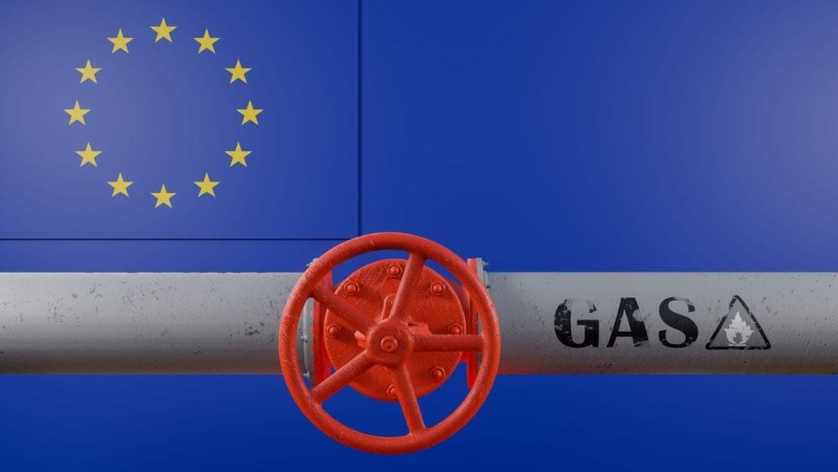 Ce include strategia Comisiei Europene pentru interzicerea gazului rusesc?