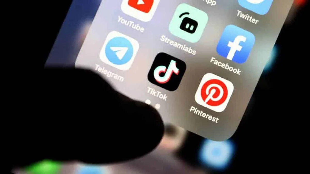 Facebook TikTok și YouTube dăunează copiilor nimeni nu ia măsuri