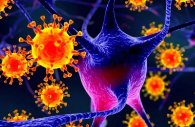Răspândirea rapidă a bacteriilor rezistente la antibiotice în Europa: Informații importante