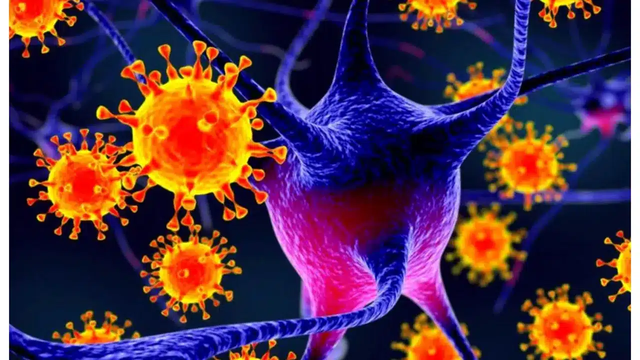 Răspândirea rapidă a bacteriilor rezistente la antibiotice în Europa: Informații importante