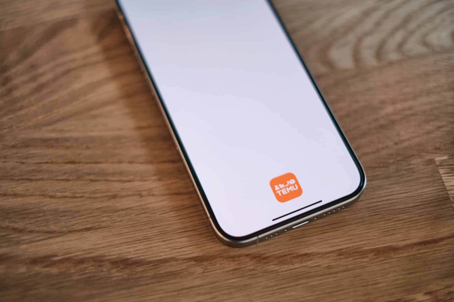 Secretele Temu. Cum ajunge platforma să vândă la prețuri incredibil de mici și cu transport gratuit