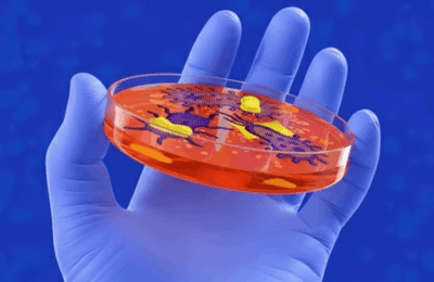 Descoperă cum bacteriile corpului tău afectează somnul!