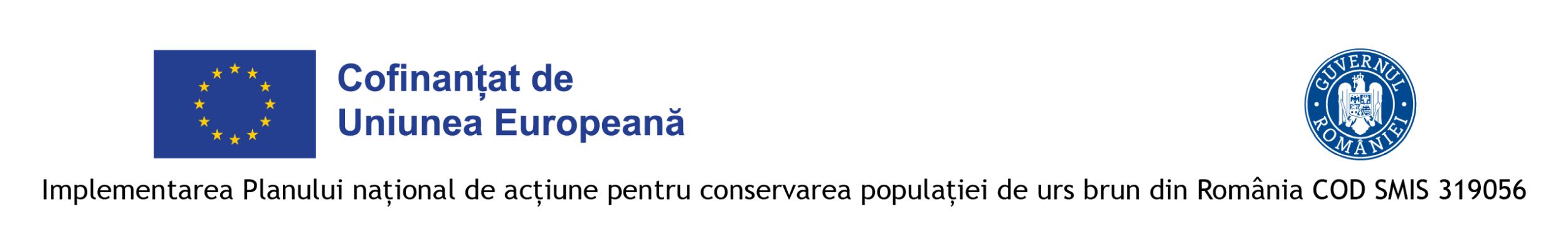 Evaluarea mărimii populației de urs brun în România:  peste 10.400 de exemplare estimate în 2025