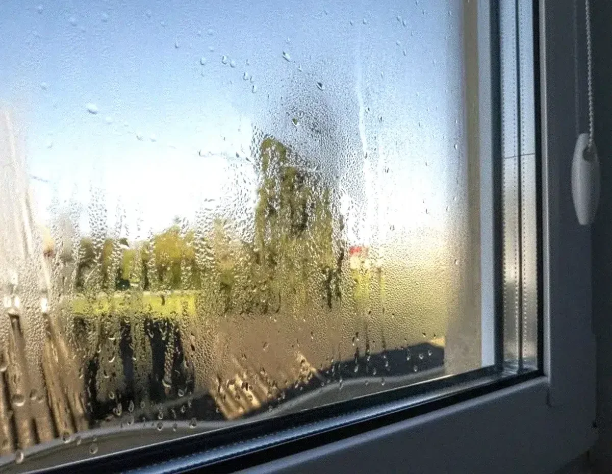 Am pus un obiect banal pe pervaz și diminețile nu mai sunt la fel
