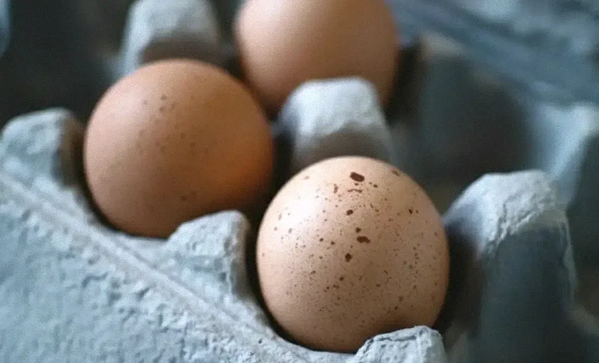 Rafturile goale și enigma ouălor lipsă din magazine