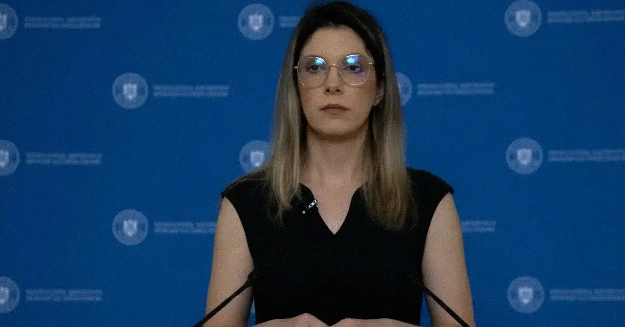 Tăieri ilegale de arbori în orașe și soluții pentru schimbarea regulilor jocului