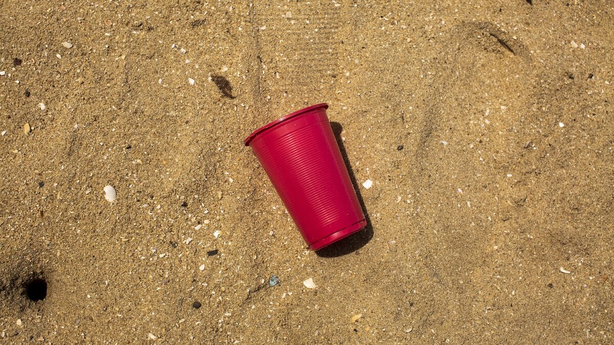 interzicerea pahărelor plastic