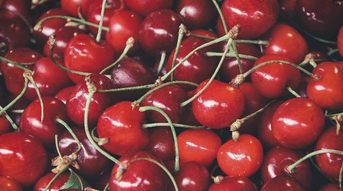 Exporturile alimentare ale Chile către China reduc incertitudinea tarifelor americane