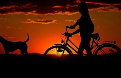 Vedeta TV Demi Burnett critică proprietarii de câini