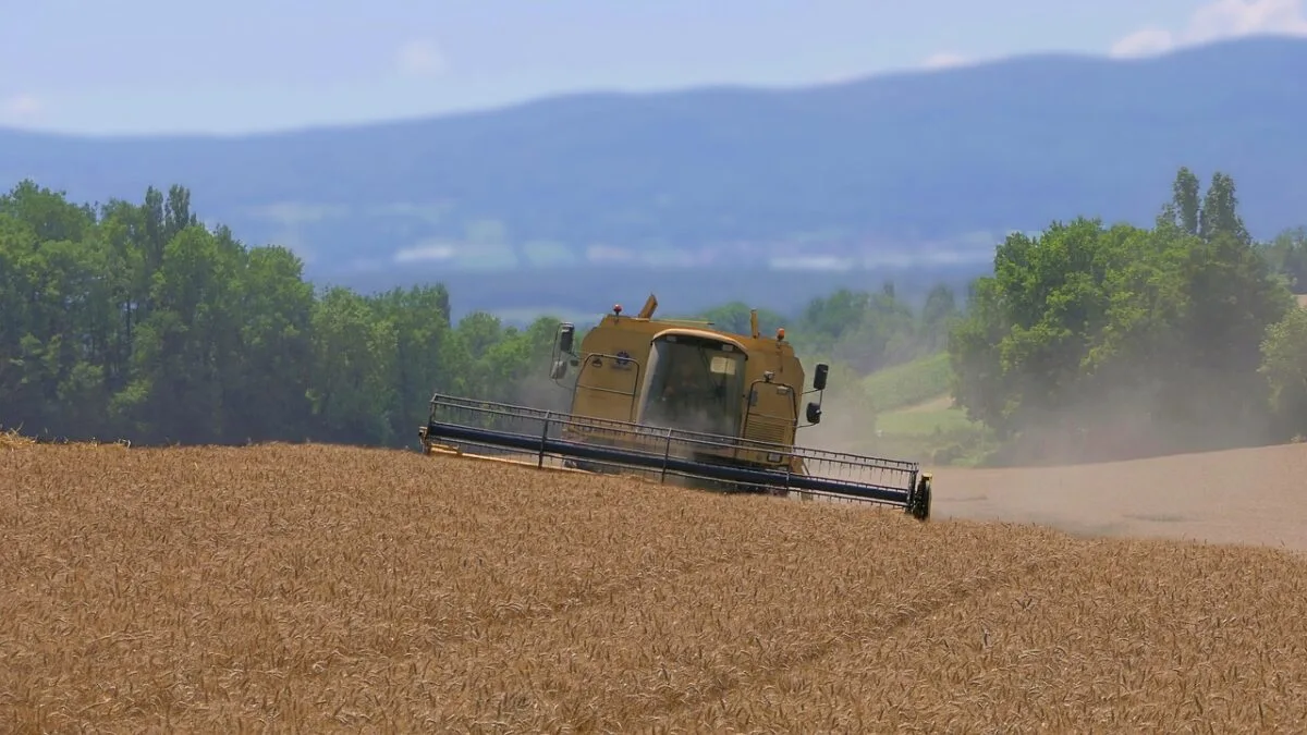 exportator cereale România UE