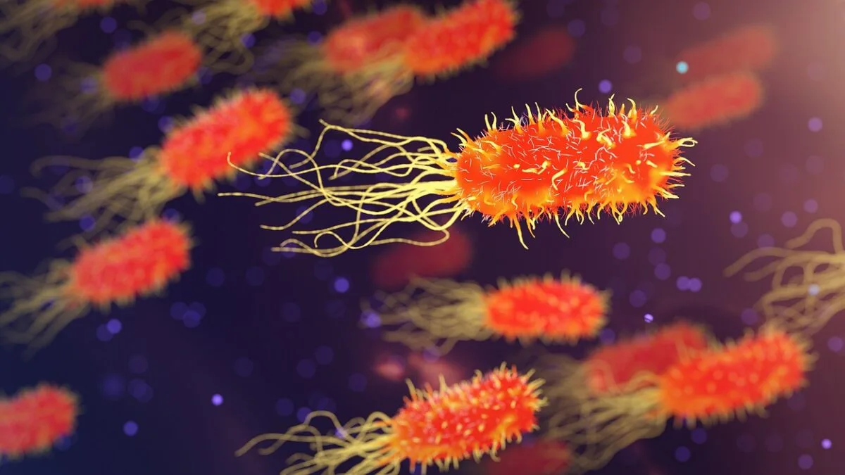 bacterii intestinale depresia adolescenți