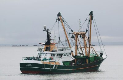 Peștele rusesc ajunge pe mesele românilor de Crăciun