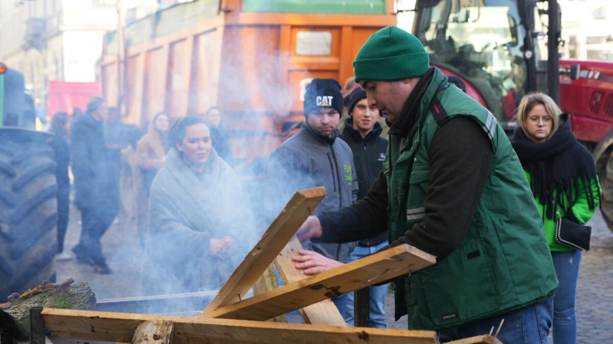 Fermieri francezi și spanioli protestează împotriva bolilor animale