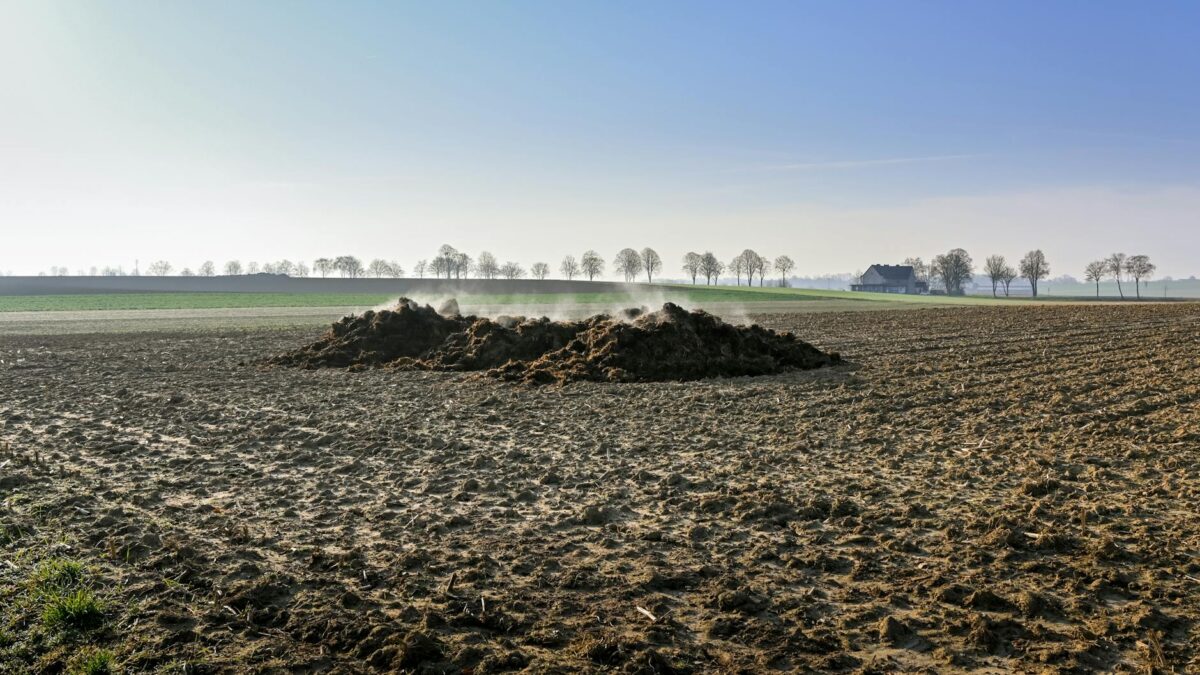 UE respinge cererea Olandei pentru excepție la limitele de gunoi