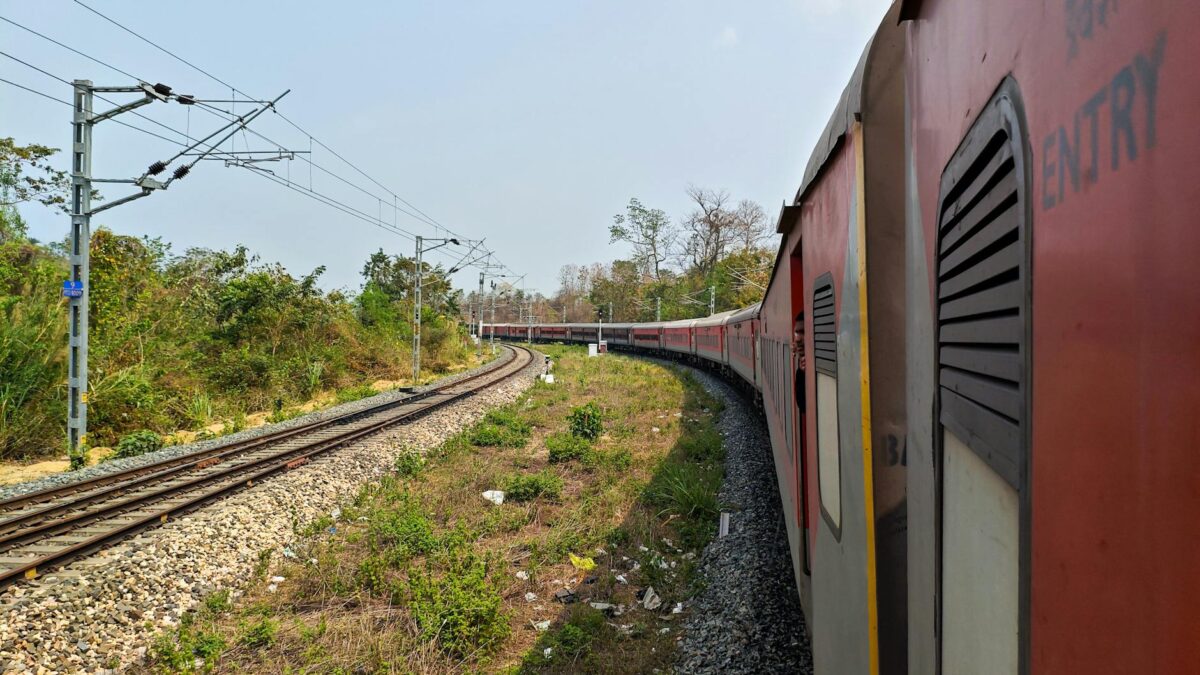 Tren din India ucide șapte elefanți care traversau calea ferată