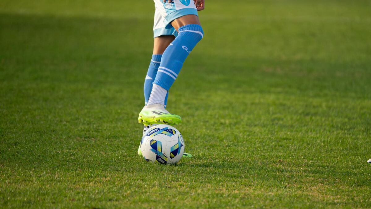 Pițurcă Chivu Inter